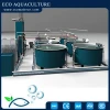 Seawater and fresh water RAS/Recirculating aquaculture system fish farming equipment system for intensive aquaculture