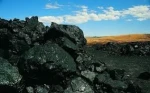 Selling : Steam Coal, Thermal Coal & Coking Coal and HMS 1 / 2 & Other Metal Scraps