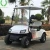 Import Single seater or 2 seaters electric golf cart from China