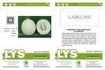 SM25 Aimei f1 hybrid white sweet melon seeds, white melon seeds