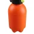 Import Small plastic watering can shaped plant flower pot pressure watering can sprayer bottle from China