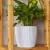 Import Smart indoor planter | pots flower planter | self watering planter from China