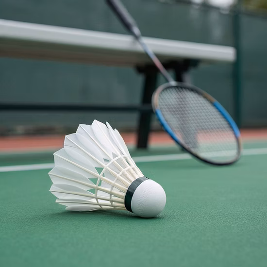 High Grade Duck Feather Badminton Balls for Training Match