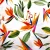Import Special hot selling multi colors flowers fabric 100% cotton printing fabric from China