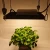 Spider 450W Dimmable Quantum LED Grow Light board Led Lights for indoor Plant Growing