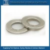 Stainless Steel 18-8 AISI 316 Flat Washers