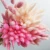 summer flora Nature flower touch real artificial flower for home decoration dried flower lagurus