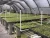 Import Sun-shade net factory direct shade net high quality hdpe greenhouse agriculture shade net from China