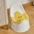 Import Super lightweight potty training seat for elderly baby potty chair from China