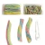 Import Super sour straws candy, belt candy, ties candy from China