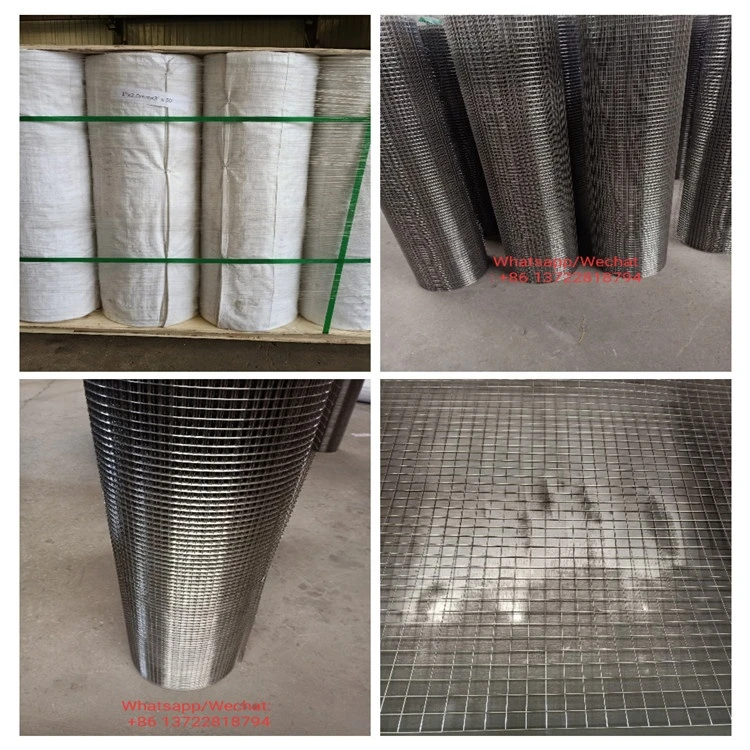 SUS and Galvanised welded Wire Mesh manufactory