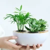 SWAN Wholesale custom shape unbreakable kidney succulent  bowl melamine flower vase