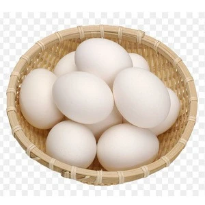 Table White/Brown Egg for Sale