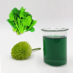The latest edible plant extract does not add pigment pure natural powder sodium chlorophyll copper