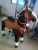 Import three size for choice walking mechanical ride on horse,mechanical animals ride-coin from China