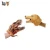 Import Tiger hand puppet The king of jungle Wildlife Animal pretend play game Theater toy from China