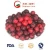 Import Top Quality IQF Frozen Cherry from China