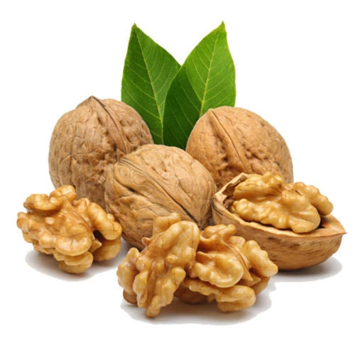 Top Quality Organic Walnuts with Certificate in Turkey