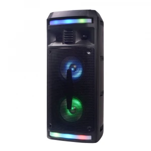 Top Sale Dual 6.5 inch Private Mini Portable BT Wireless karaoke Player Party Rechargeable Speaker with Disco Light