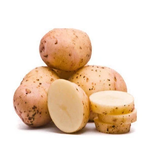 Ukrainian Fresh Potatoes Grown On Organic Fields At Reasonable Prices