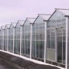 Venlo Polycarbonate/Glass Hydroponics Greenhouse Supplies in China