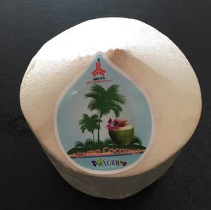 Vietnam Fresh Young Coconut