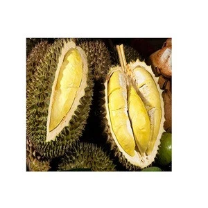 VIETNAMESE BEST QUALITY DURIAN FRUIT 2020 - Fresh Durian / Dry Durian /  Durian Frozen at Competitive Price