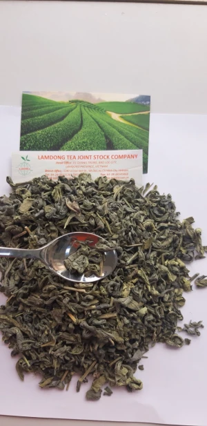 Vietnamese Green Tea Wholesale Loose Leaf slimming tea wtih cheap price