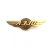 Vintage Aviation Badge BOEING 737 777 787 747 Pilot Badges AIRBUS 380 330 320 Airplane lapel pin badge