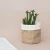 Import Washable White Kraft Paper Plant Pot Cover Decorative Bin from China