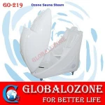 weight loss/detox feature and spa capsule type infrared ozone steam sauna for sale