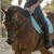 Import Western English Horse Match Equestrian Felt Saddle Pad Set from China