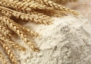 Wheat Flour for wholesale