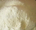 wheat gluten