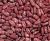 Import White Kidney Beans/ Speckled Kidney Beans/ Red Kidney Beans For Sale from Netherlands