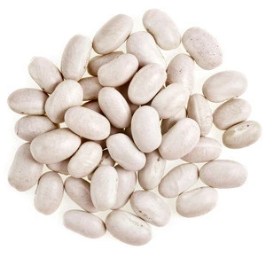 white & Navy Kidney Beans