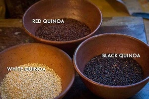White, Red and Black conventional and organic QUINOA