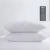 Import Wholesale 100% Brushed Polyester Duvet Cover Luxury Bedding Sets with Pillowcase for Hotel,Home from China