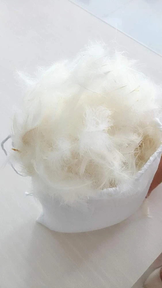 Wholesale 4-6cm goose feather for pillow