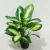 Import wholesale fabric plant potted artificial dieffenbachia plant for indoor decoration from China