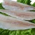 Import wholesale for Fresh and frozen IQF basa, pangasius fish From Vietnam from Vietnam