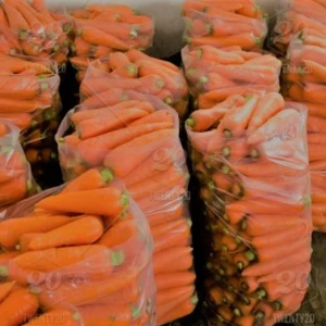 Wholesale Fresh Carrot / Fresh Carrot Vegetable / Fresh Carrot