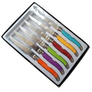 Wholesale high quality kitchen accessories stainless steel steak knife set with PP handle