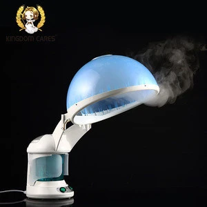 wholesale price for home use ozone face and hair steamer