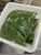 Import Wholesale  seaweed salad  Japan frozen chuka wakame seasoned  seaweed salad from China