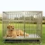 Wholesale Stainless Steel Dog Cage