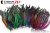 Import ZPDECOR Wholesale Choosed Quality Natural Pheasant and Rooster Tail Feathers for Carnival Headpiece Design from China