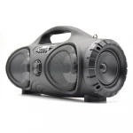 ZQS-4215 INFOCORE Portable Sound Box With BT Remote Control Digital Display USB Microphone Function Wireless Speaker