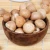 Import best quality betel nuts from South Africa