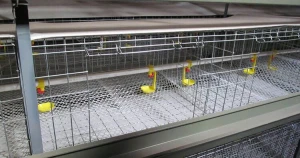 Baby Chicks Cage for Sale, Brooder Cages